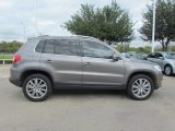2010 Volkswagen Tiguan SEL 4Motion Exterior
