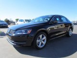2012 Volkswagen Passat 2.5L SE