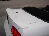 2008 Ford Mustang Shelby GT500 Convertible Rear Spoiler
