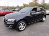 2010 Audi Q5 Deep Sea Blue Pearl Effect