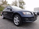 2010 Audi Q5 Deep Sea Blue Pearl Effect