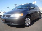 2004 Sage Brush Pearl Honda Odyssey EX-L #5604152