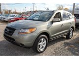 2008 Natural Khaki Green Hyundai Santa Fe GLS #56398328