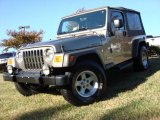 2005 Bright Silver Metallic Jeep Wrangler Unlimited 4x4 #56397983