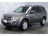 2010 Sterling Grey Metallic Ford Escape XLT V6 4WD #56451613