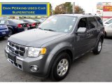 2010 Sterling Grey Metallic Ford Escape Limited V6 4WD #56451407