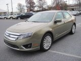 2012 Ford Fusion Ginger Ale Metallic