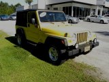 2004 Solar Yellow Jeep Wrangler Unlimited 4x4 #56514009