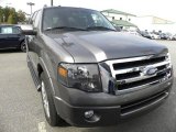 2011 Sterling Grey Metallic Ford Expedition Limited #56513947
