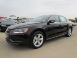 2012 Volkswagen Passat 2.5L SE