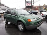 Rain Forest Green Saturn VUE in 2004