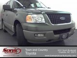 2003 Estate Green Metallic Ford Expedition XLT #56564325