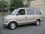 Pewter Metallic GMC Safari in 2003