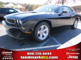 2012 Blackberry Pearl Dodge Challenger SXT #56609733