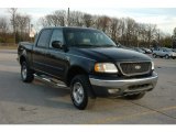 2001 Black Ford F150 XLT SuperCrew 4x4 #56610151