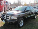 2011 Brilliant Black Crystal Pearl Dodge Dakota Big Horn Crew Cab 4x4 #56610144