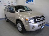 2008 Ford Expedition XLT 4x4