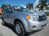 Ingot Silver Metallic Ford Escape in 2010