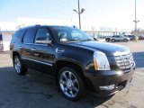 2009 Cadillac Escalade AWD