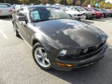 2009 Alloy Metallic Ford Mustang V6 Premium Coupe #56705025
