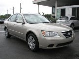 2010 Hyundai Sonata GLS
