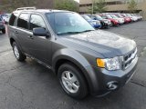 2012 Sterling Gray Metallic Ford Escape XLT V6 4WD #56780730