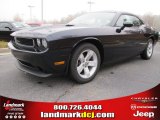 2012 Blackberry Pearl Dodge Challenger SXT #56789298