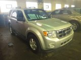 2009 Brilliant Silver Metallic Ford Escape XLT V6 #56789143