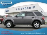 2012 Sterling Gray Metallic Ford Escape XLT 4WD #56827613