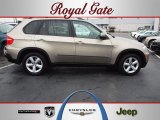 2008 BMW X5 3.0si
