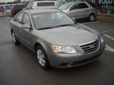 2010 Hyundai Sonata GLS