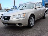 2010 Hyundai Sonata GLS