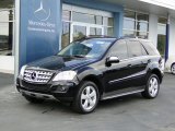 2010 Mercedes-Benz ML 350