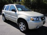 2005 Ford Escape Limited Front 3/4 View
