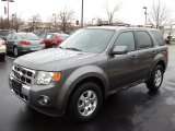 2010 Sterling Grey Metallic Ford Escape Limited 4WD #57034704