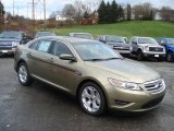 2012 Ford Taurus Ginger Ale