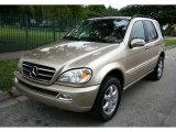 2002 Mercedes-Benz ML 500 4Matic