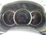 2010 Suzuki Grand Vitara Premium Gauges