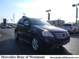 2010 Mercedes-Benz ML 350 4Matic