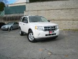 2010 White Suede Ford Escape XLT #57095358