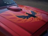 1974 Pontiac Firebird Trans Am Exterior