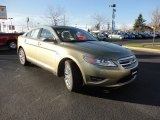 Ginger Ale Ford Taurus in 2012