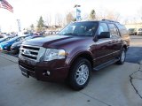 2012 Autumn Red Metallic Ford Expedition XLT 4x4 #57271262