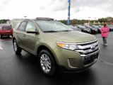 2012 Ford Edge Ginger Ale Metallic