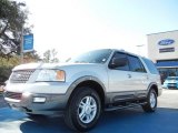2004 Silver Birch Metallic Ford Expedition XLT #57271639
