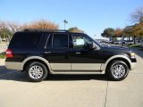 Tuxedo Black Ford Expedition in 2010