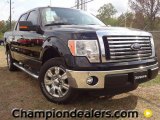 2011 Ebony Black Ford F150 XLT SuperCrew #57354857