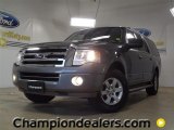 2010 Sterling Grey Metallic Ford Expedition EL XLT #57355237