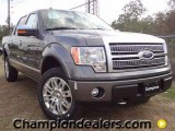 2011 Sterling Grey Metallic Ford F150 Platinum SuperCrew 4x4 #57354807