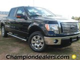 2011 Ebony Black Ford F150 XLT SuperCrew #57354787